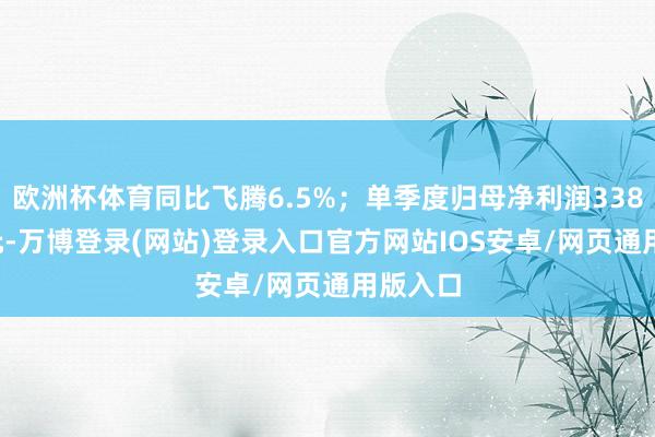 欧洲杯体育同比飞腾6.5%；单季度归母净利润338.05万元-万博登录(网站)登录入口官方网站IOS安卓/网页通用版入口