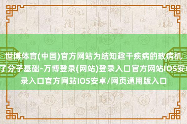 世博体育(中国)官方网站为结知趣干疾病的致病机理及药物竖立提供了分子基础-万博登录(网站)登录入口官方网站IOS安卓/网页通用版入口